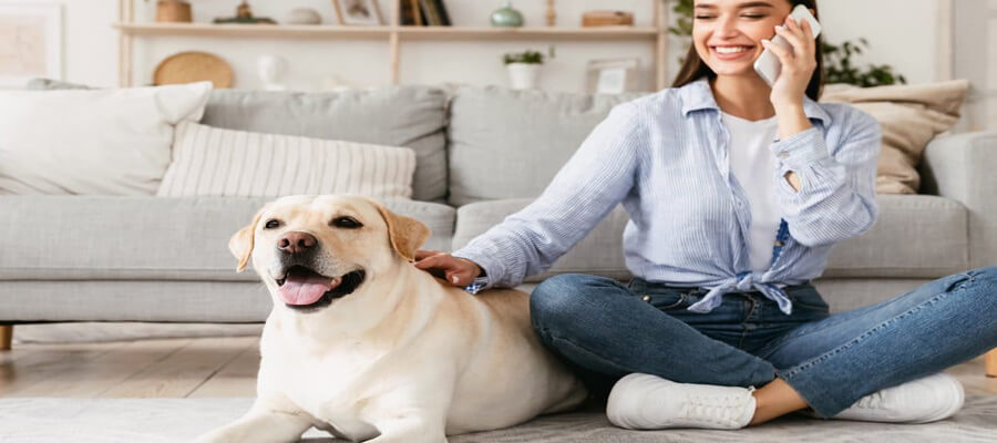 The Pros and Cons of Hiring a Dog Sitter